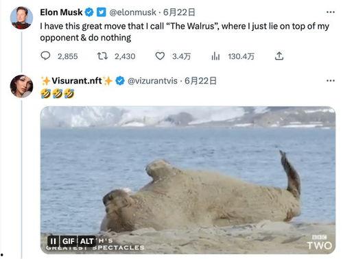 妈妈吃瓜推文免费阅读,免费阅读盛宴开启！  第3张