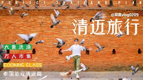 泰国旅游博主爆料事件视频,揭秘背后真相 第1张 泰国旅游博主爆料事件视频,揭秘背后真相 第1张