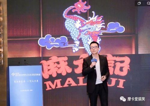 录音爆料汪小菲视频播放,录音爆料背后的惊人真相  第3张